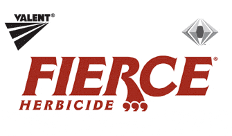 Fierce® by Valent logo